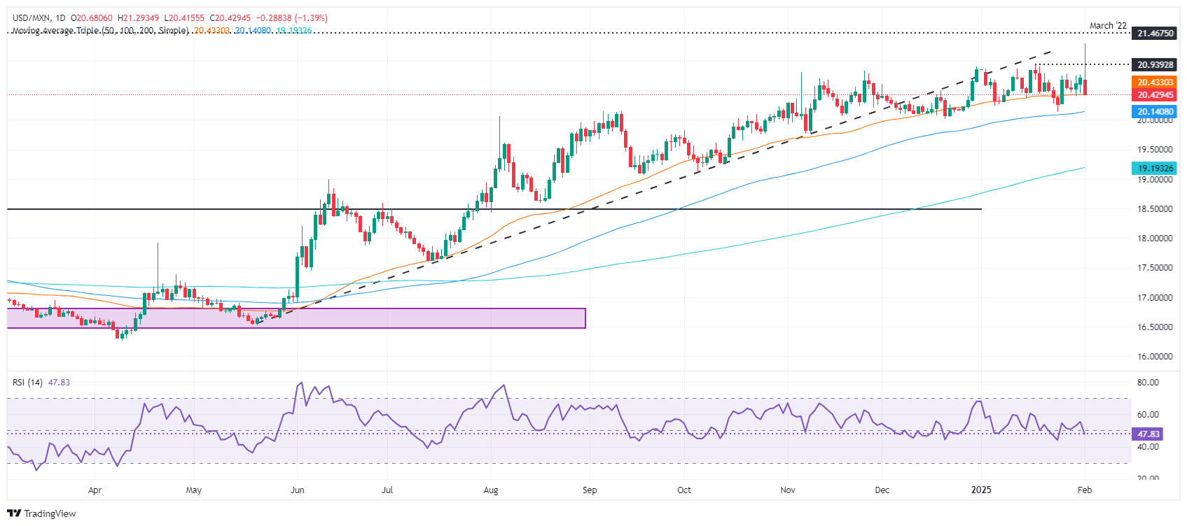 Mexican peso rises as US-Mexico tariff pause eases tensions